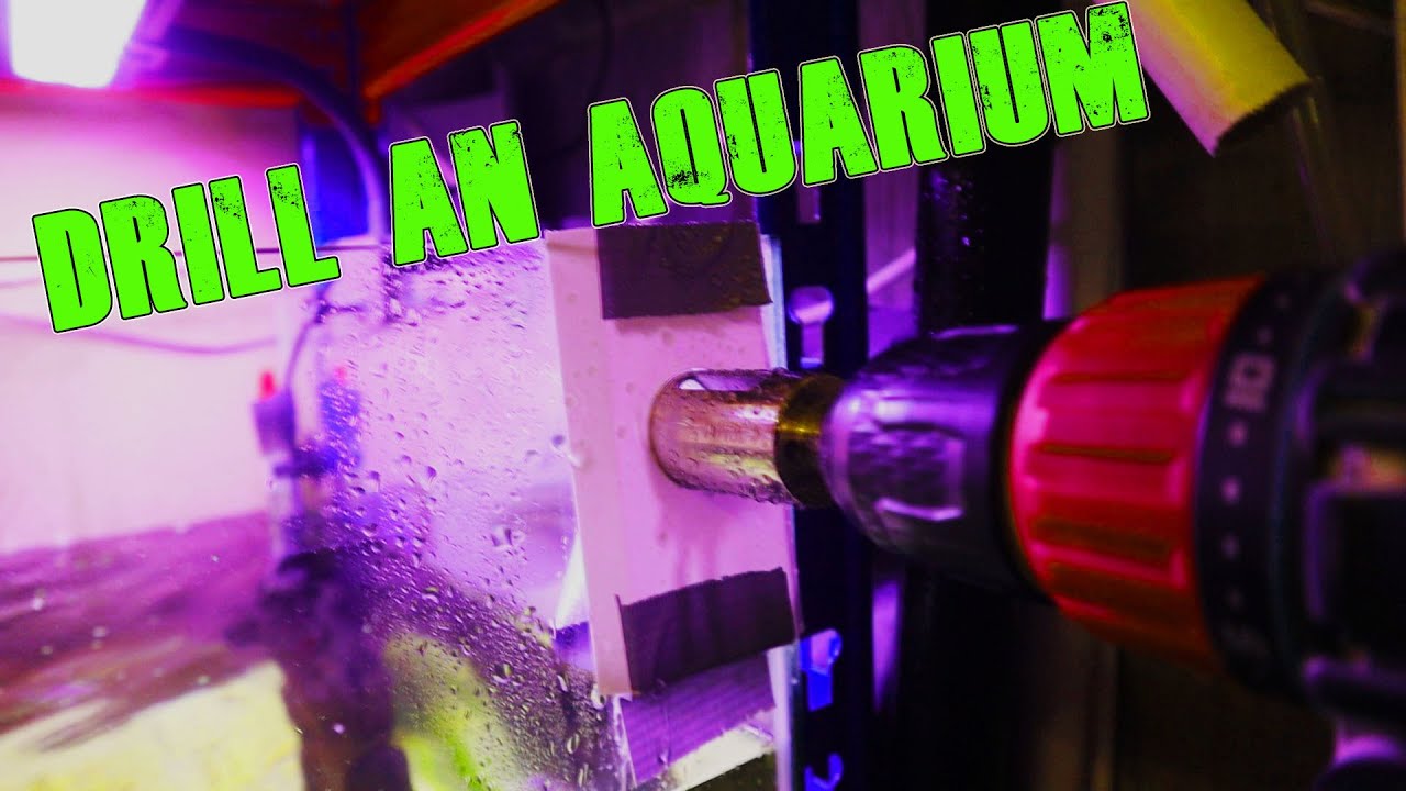 How to drill a glass aquarium
