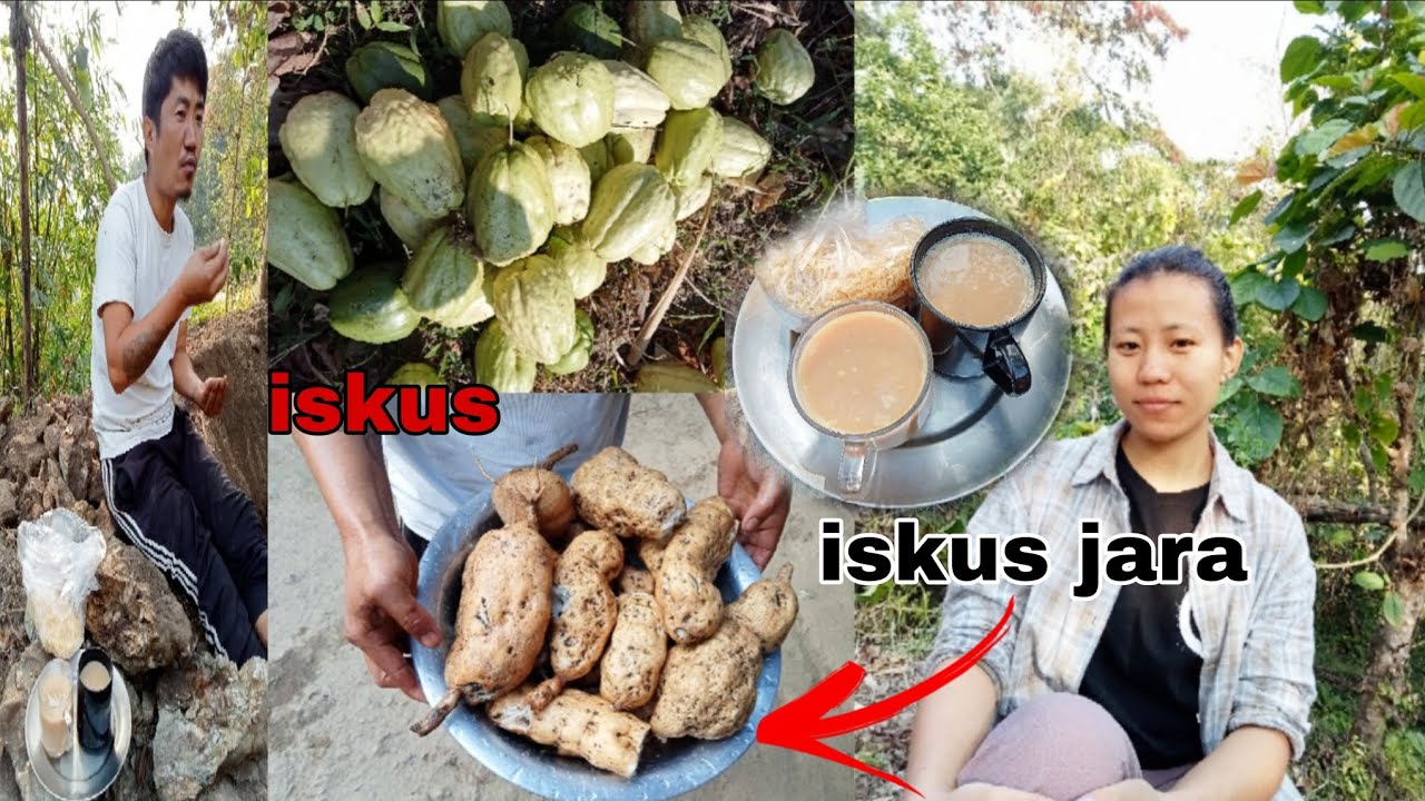 Iskus ko jara wow😍😱ani mo chai aju dawra khojdai 