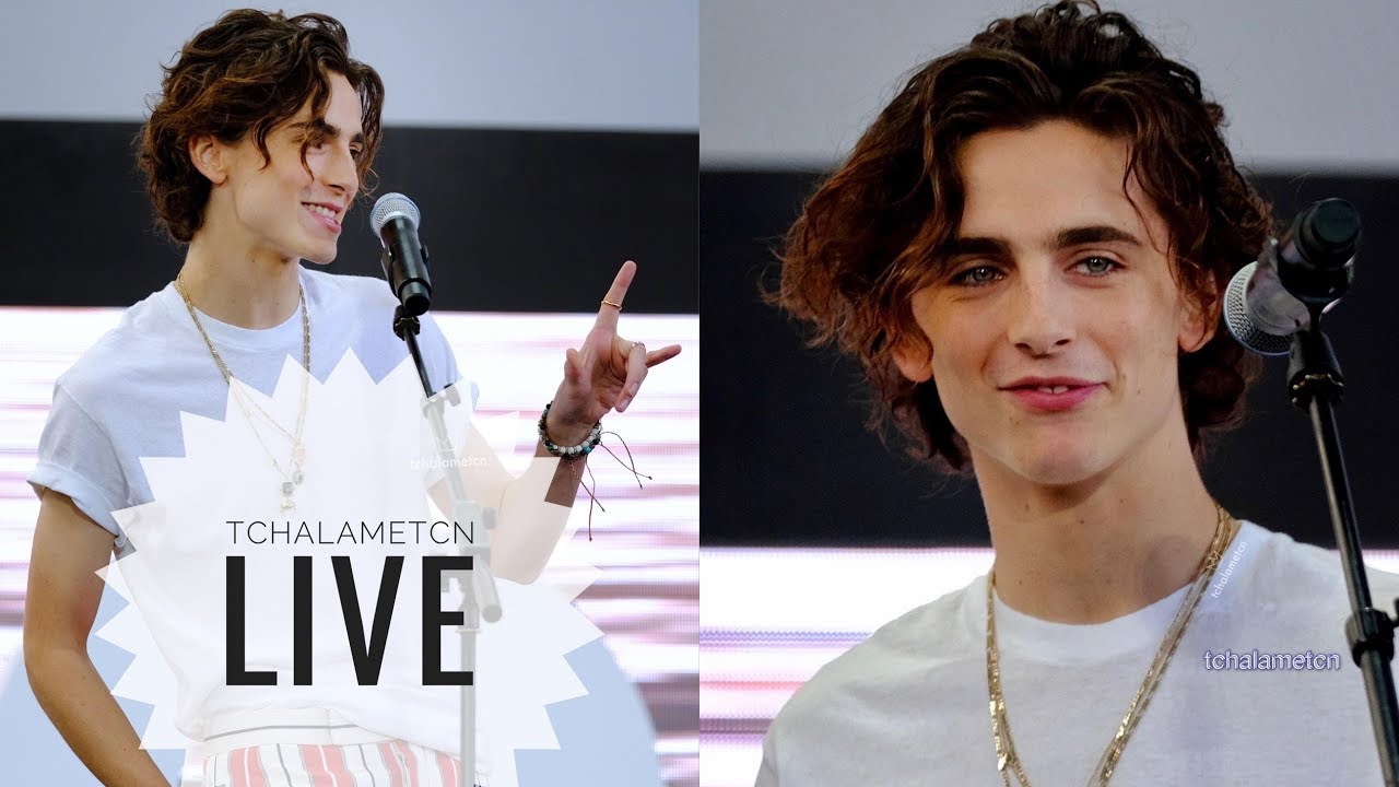 tchalametcn Live recording: Timothée Chalamet Outdoor Greeting at Busan Film Festival 10/09/2019