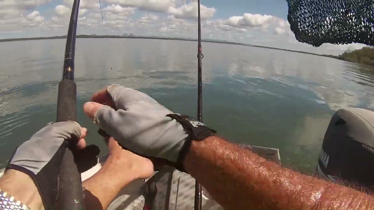 Was a mangrove jack kind of day
