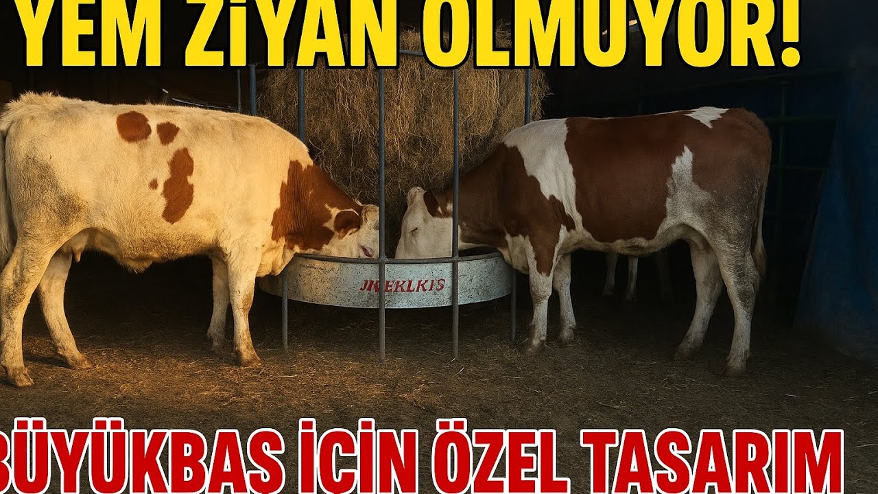 Yem ve Yonca Tasarrufu Sağlayan Akıllı Otluk Tasarımı Smart Grassland Design That Saves Forage and