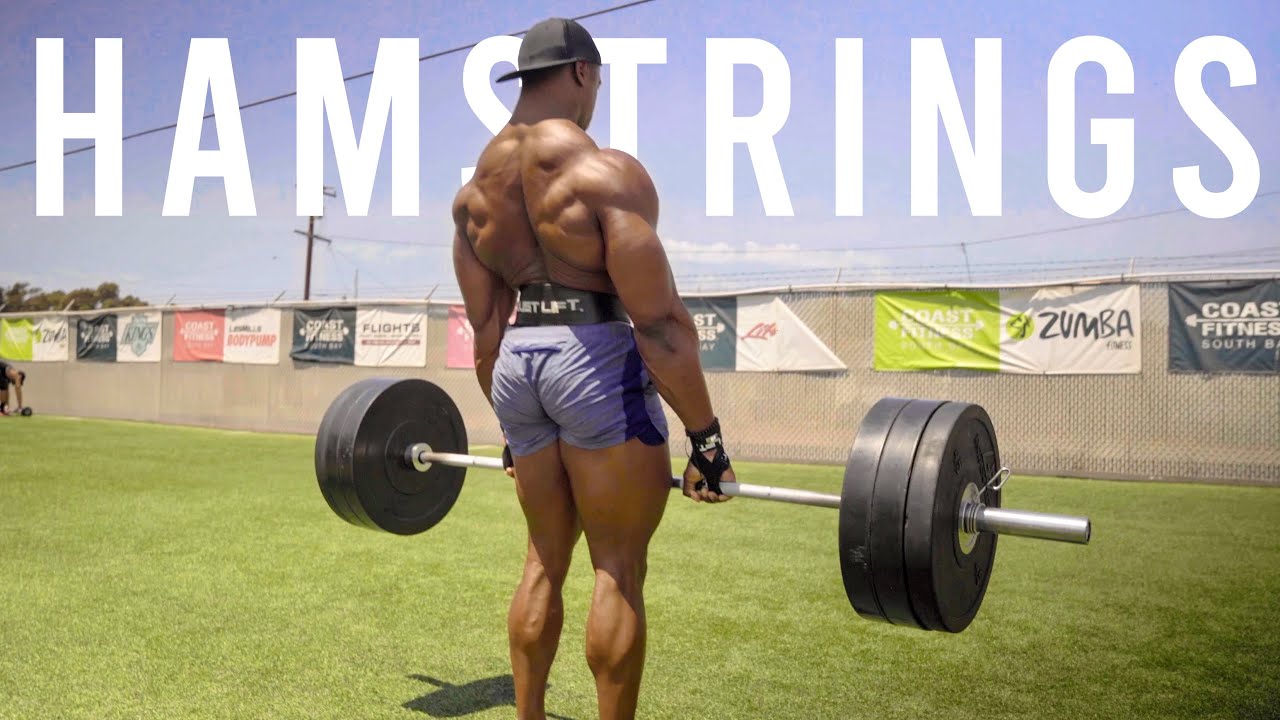 TOP HAMSTRING EXERCISES | INCREASE YOUR SQUAT STRENGTH!