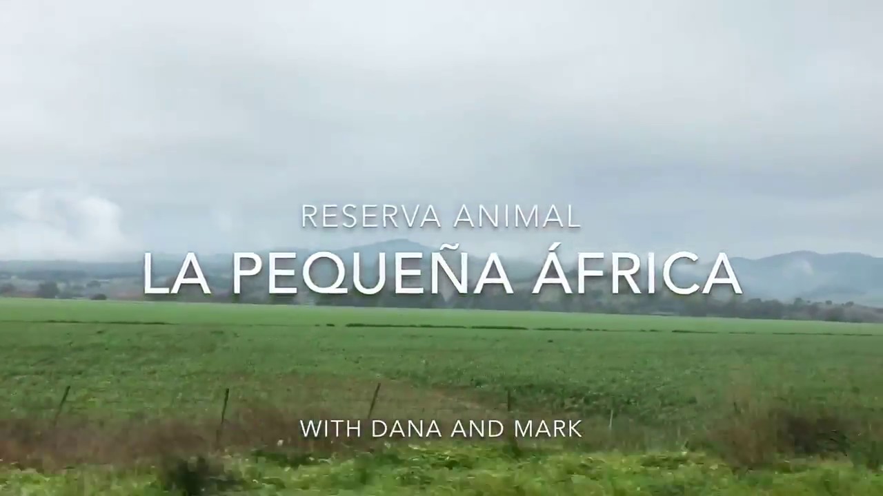 Pequeña Africa