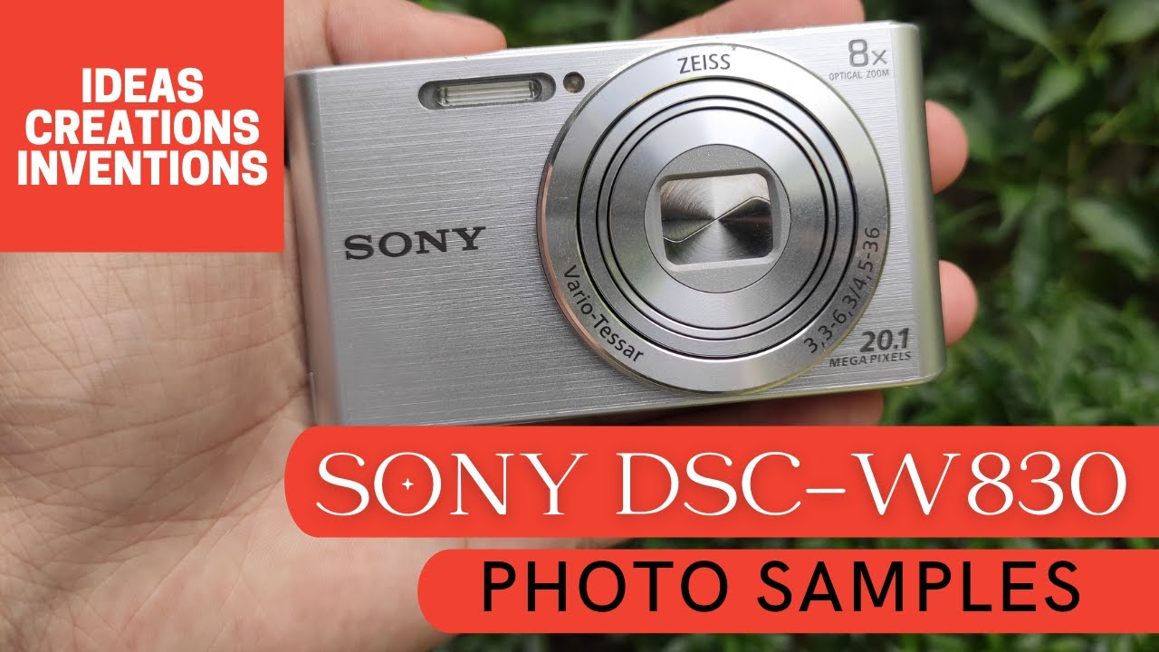 Sony DSC W830 Photo Samples