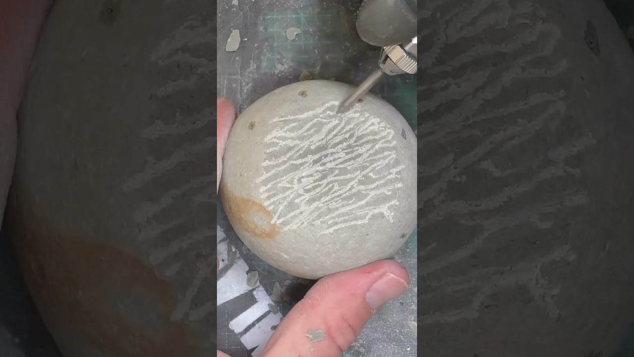A rare fossil find - clues on the outside #fossil #science #rare