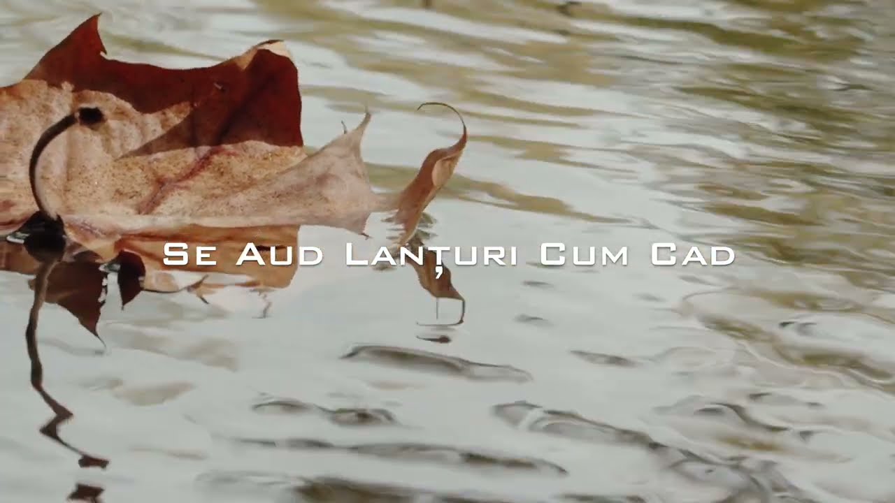 ~Se-aud lanțuri cum cad~ Angela Stănilă