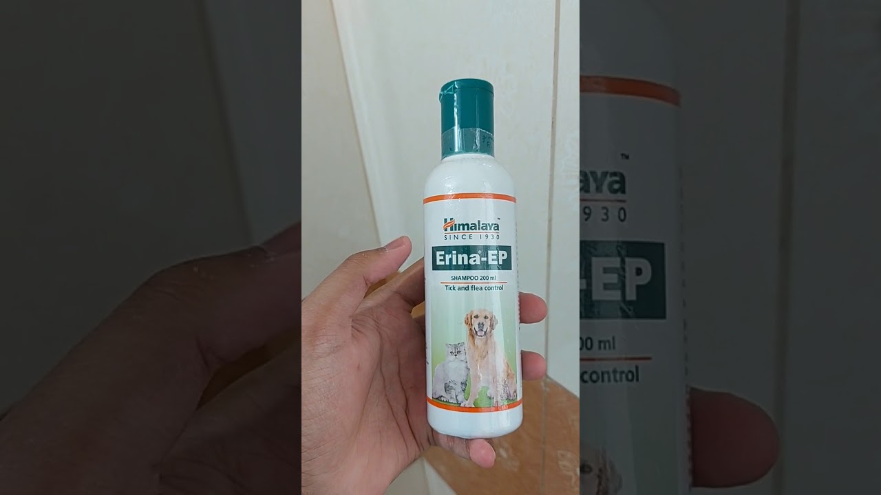 Himalaya Erina-EP Pet Shampoo 200ml Tick & Flea Control | #Shorts