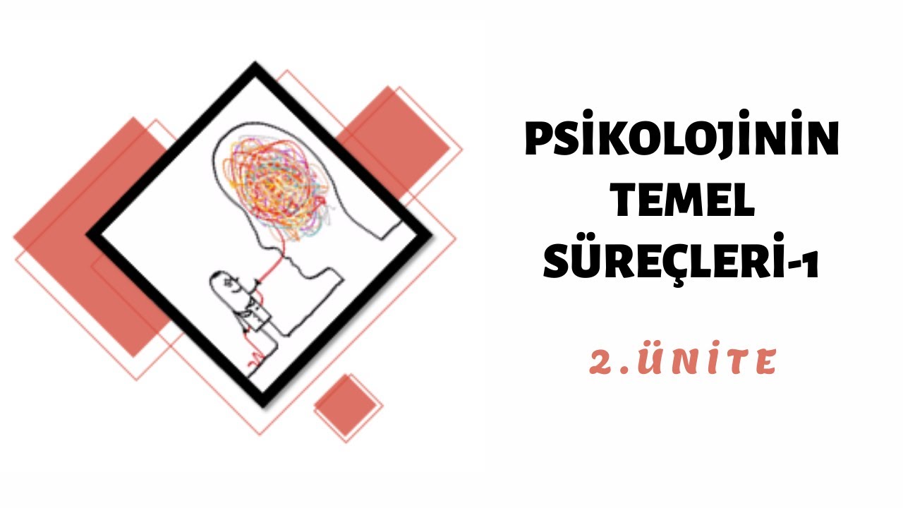 Psikolojinin Temel Süreçleri (AYT-Felsefe Grubu) #7