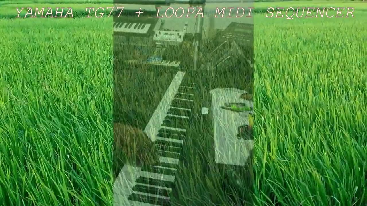 TG77 Ambient Soundscape - Green World