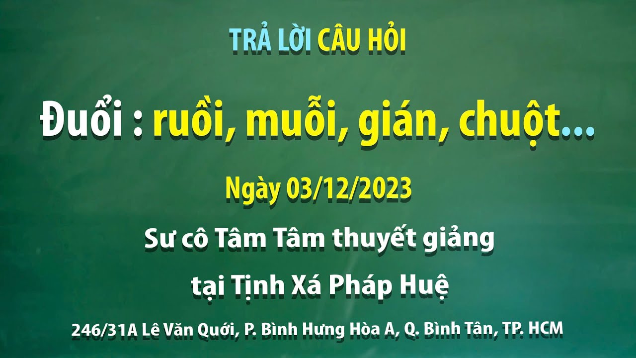 Trả lời câu hỏi – Đuổi: ruồi, muỗi, gián, chuột… - Ngày 03/12/2023 - Sư cô Tâm Tâm thuyết giảng