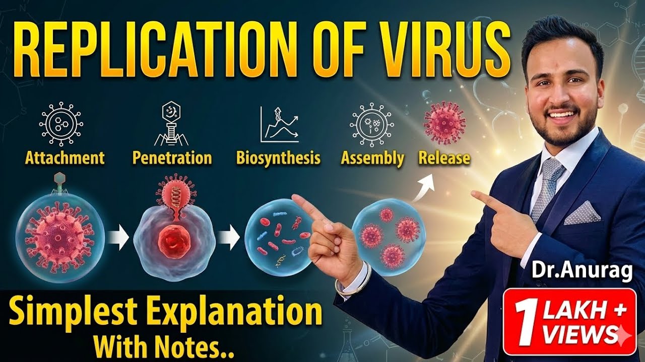 Virus Replication Microbiology // Viral replication in Hindi // Stages of viral replication
