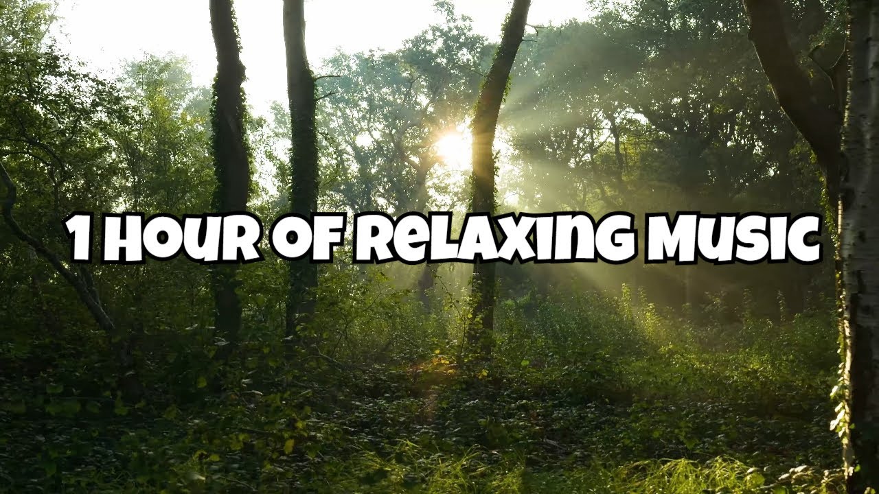 1 Hour of Relaxing Music - Perfect for Study, Relaxing, Meditation etc.