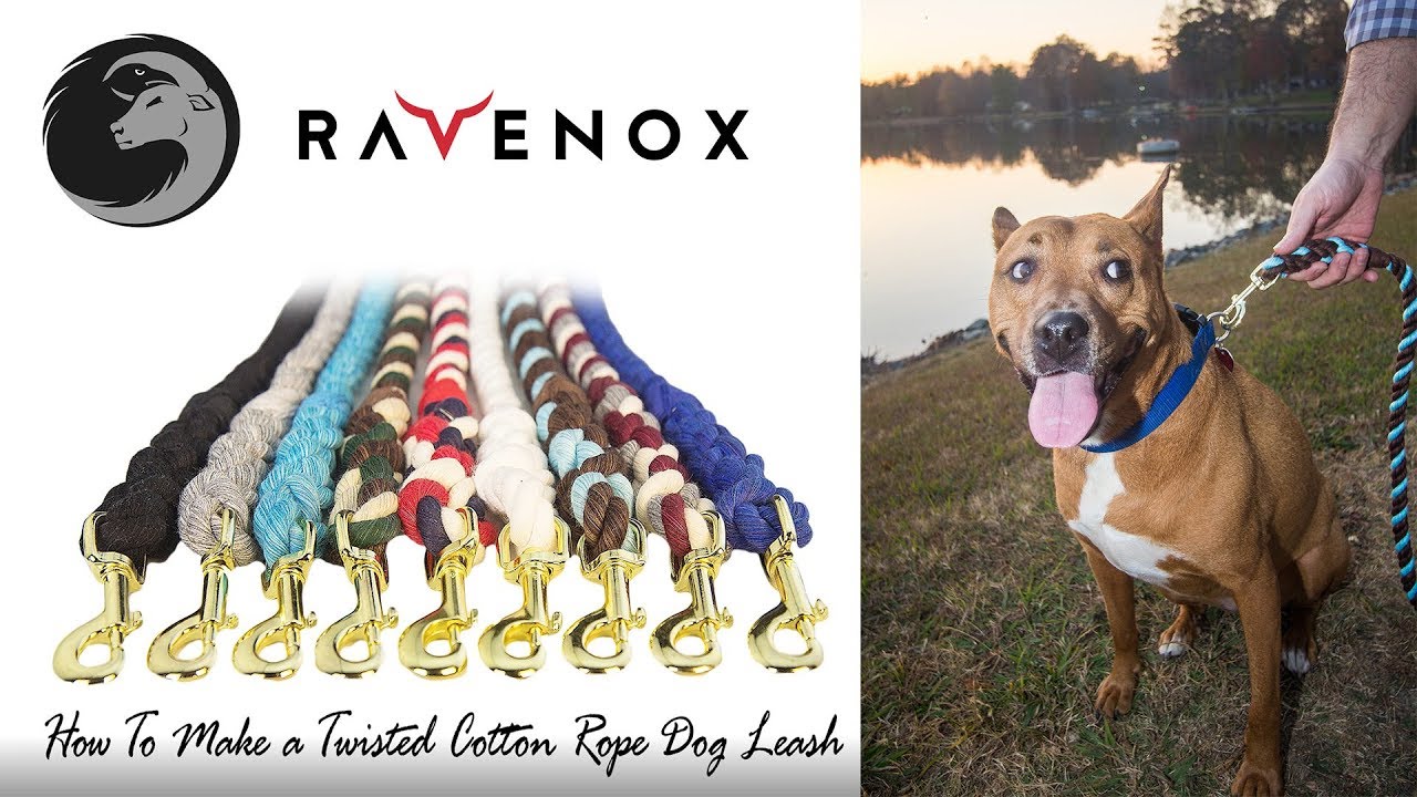 How to Make a Dog Rope Leash | DIY Twisted Cotton Dog Rope Lead | Ravenox Ropes