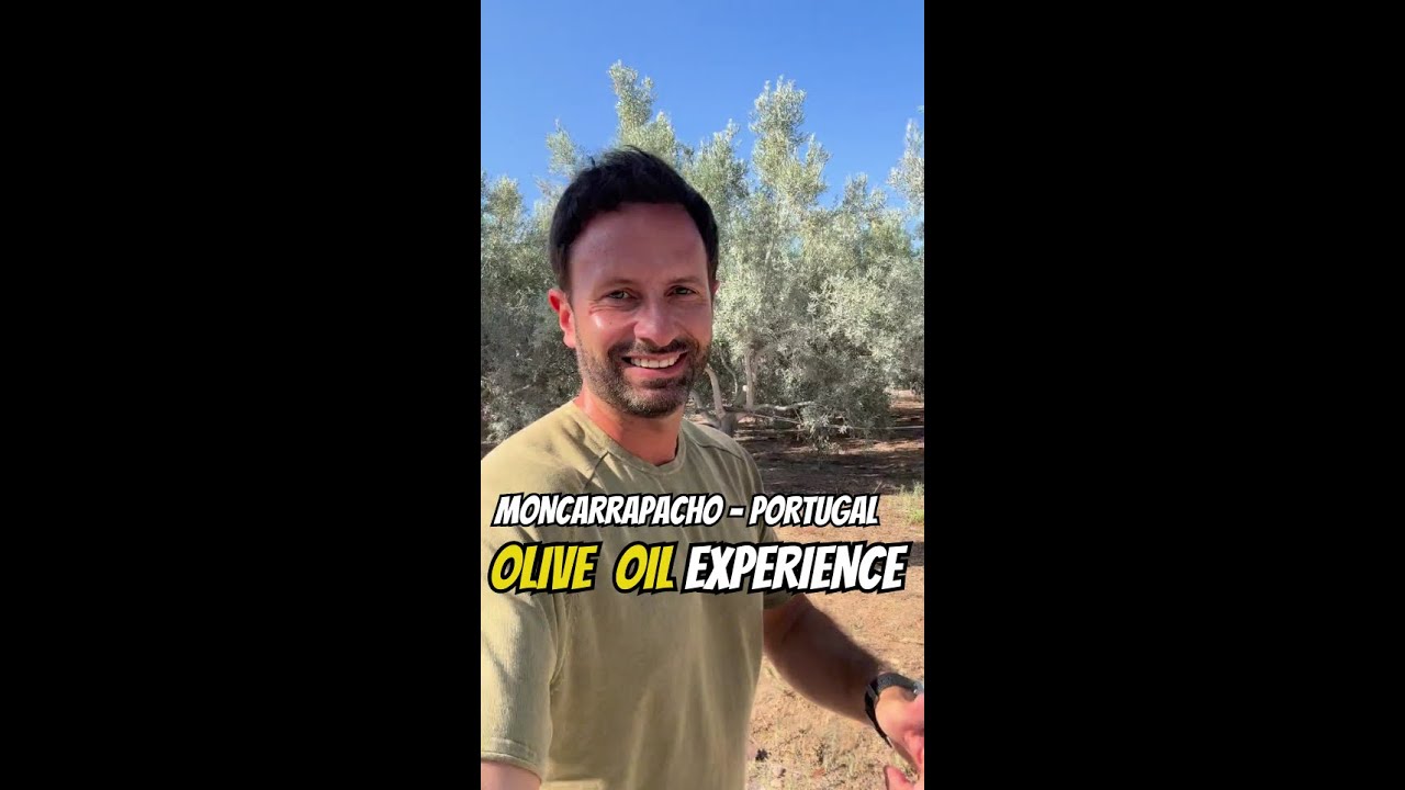 Olive Oil Farm Experience - Moncarapacho - Algarve - Portugal