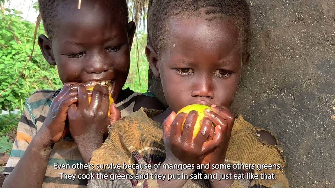 The East Africa hunger crisis on refugees