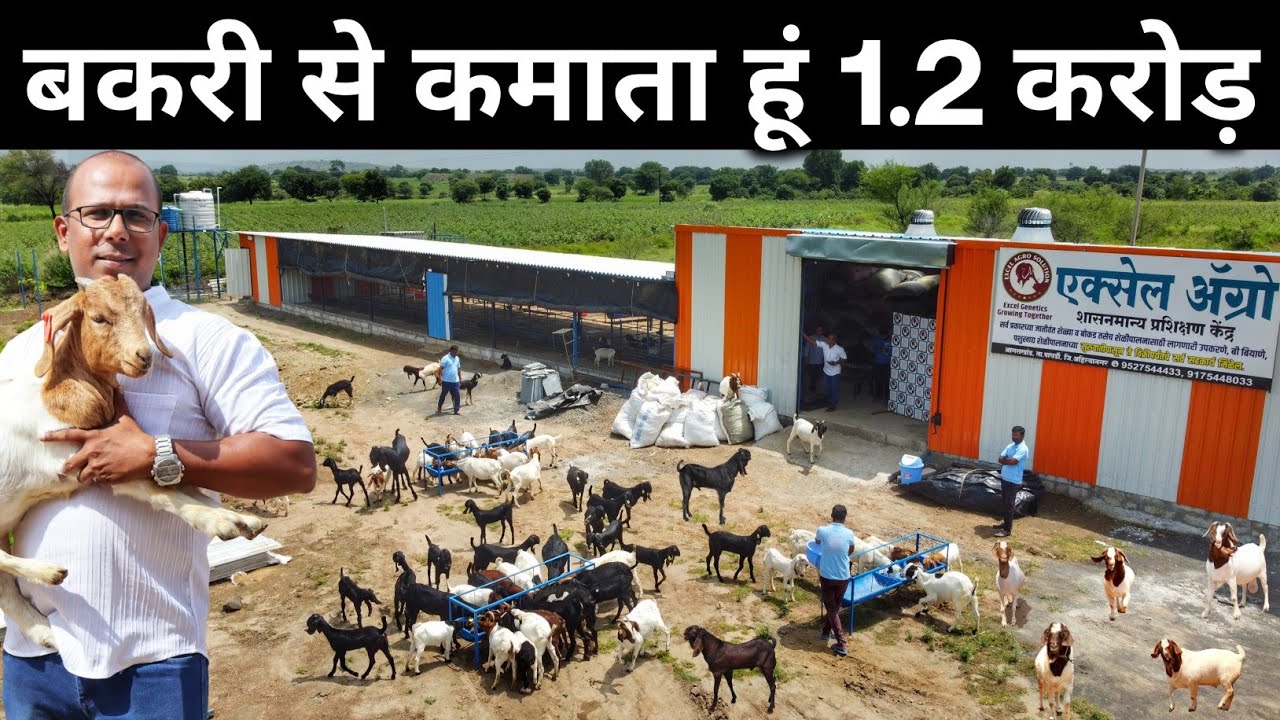 सरकारी नौकरी छोड़ पिछले 15 साल से कर रहे हैं Goat Farming Business | Goat Farming
