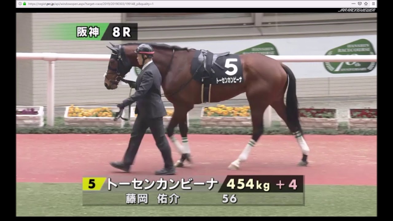【パドック】 本田 優厩舎のランスオブプラーナ 角居 勝彦厩舎のトーセンカンビーナは2着 2019年3月3日（日曜） 1回阪神4日 8R アルメリア賞 阪神 芝 1800m