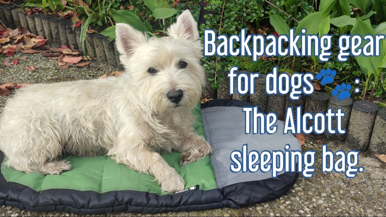 Backpacking gear for dogs🐾: The Alcott sleeping bag.