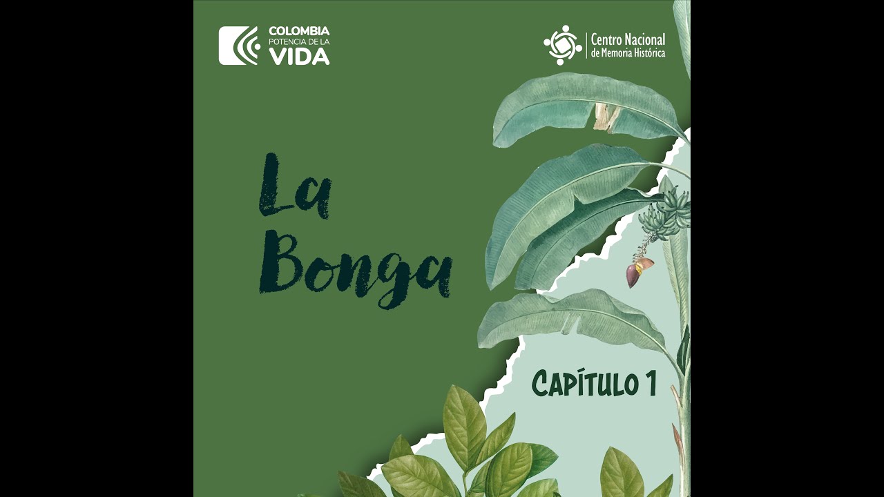 Documental - ¡Palenque no se vende, se cultiva y se defiende! Cap.1 - La Bonga