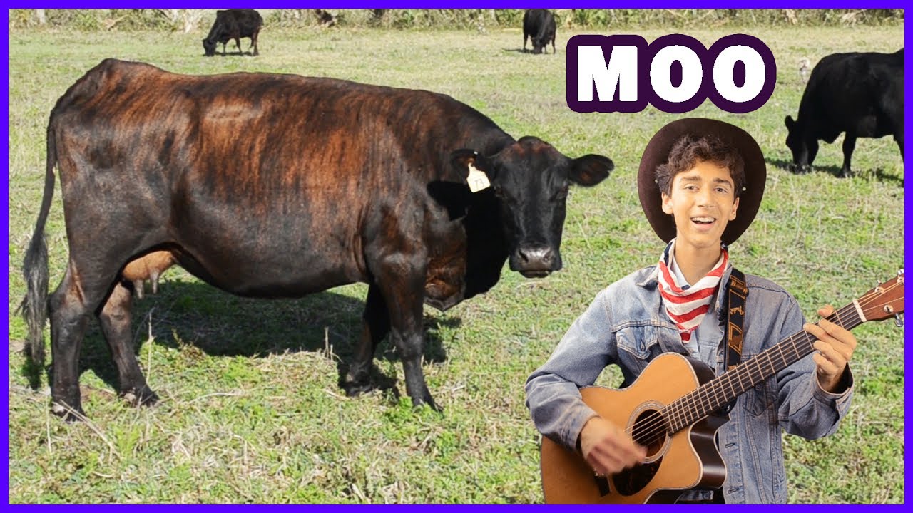 Old MacDonald Had a Farm | Animal Nursery Rhymes for Children, Babies and Toddlers