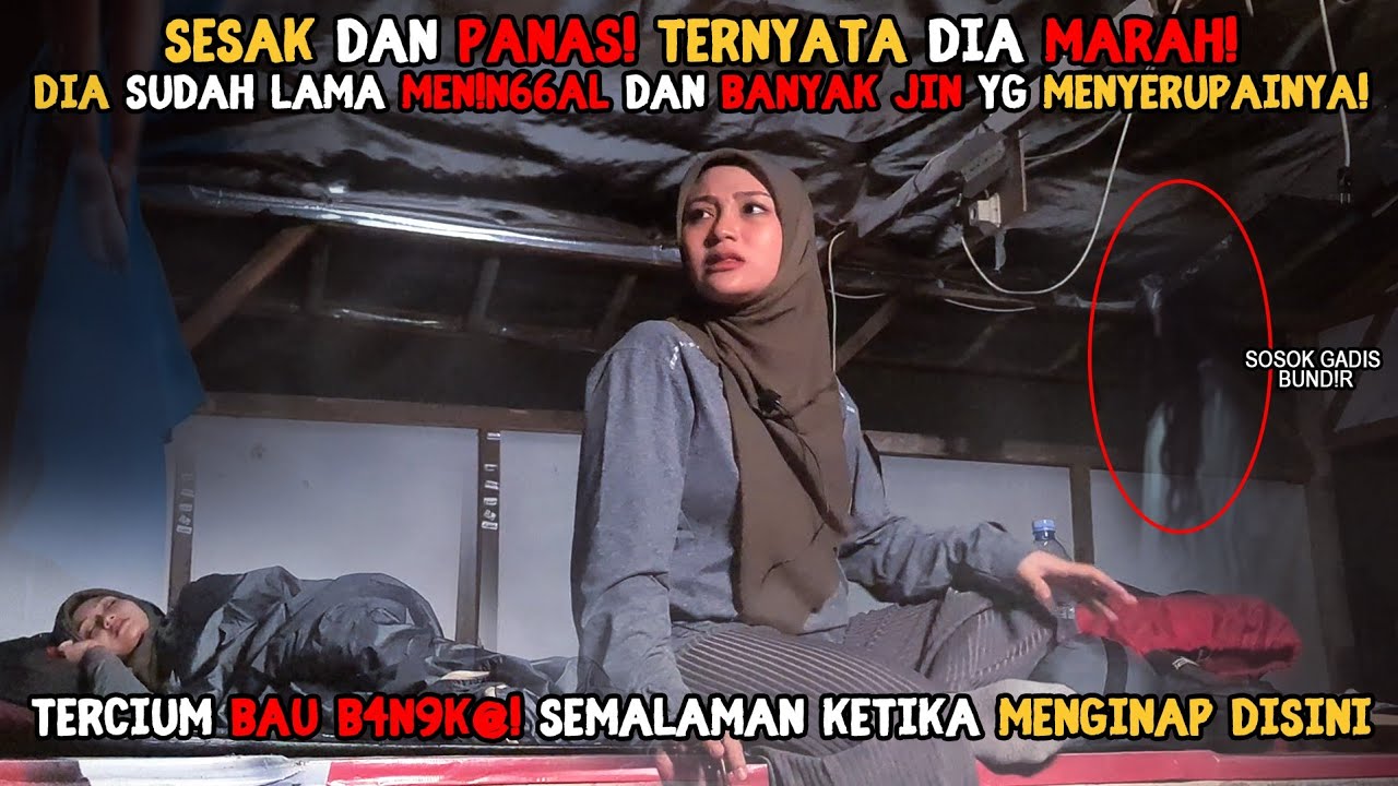 SOLO CAMPING HORROR : MENCEKAM‼️ SEMALAMAN TIDAK BISA TIDUR KARENA TERUS DIGANGGUNYA