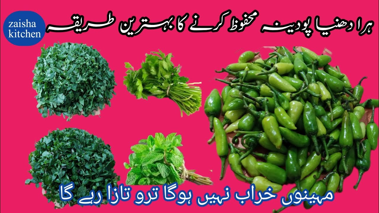 How to Save Mint And Coriander Leaves For 2-3 Month | Podina Aur Hara Daina Mehfooz Karne Ka Tarika