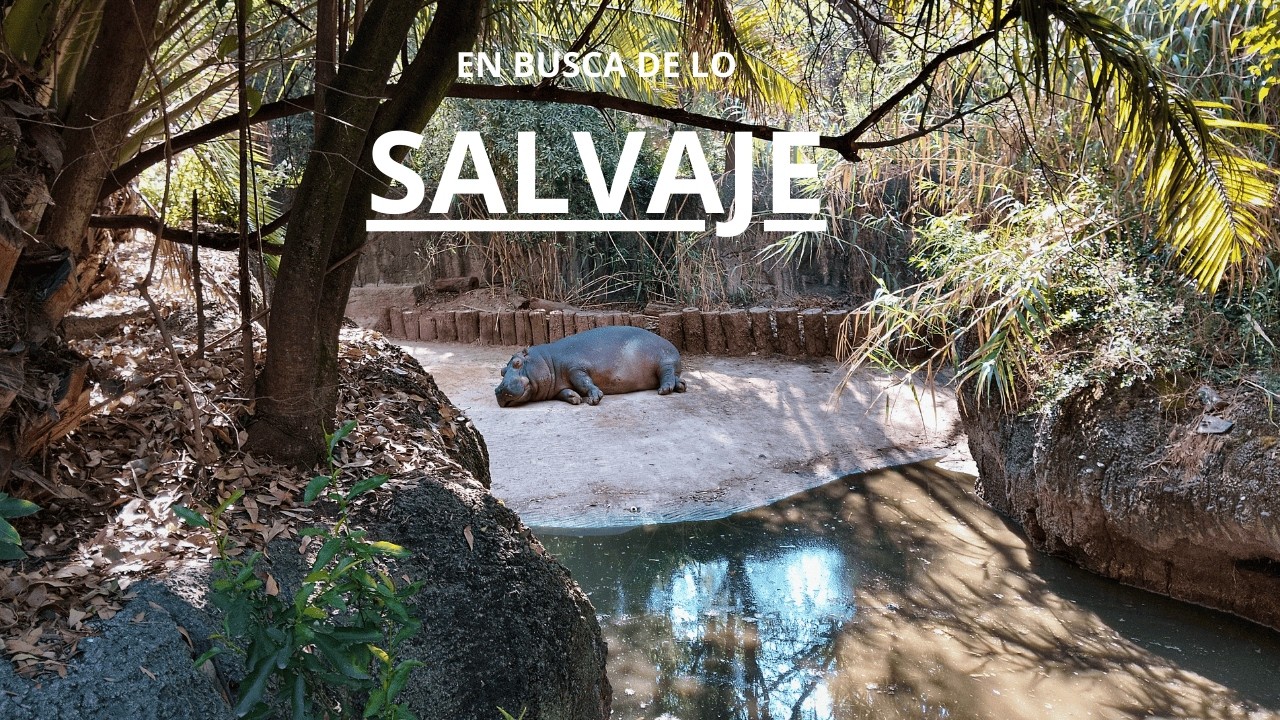 Chapultepec entre lo humano y lo salvaje