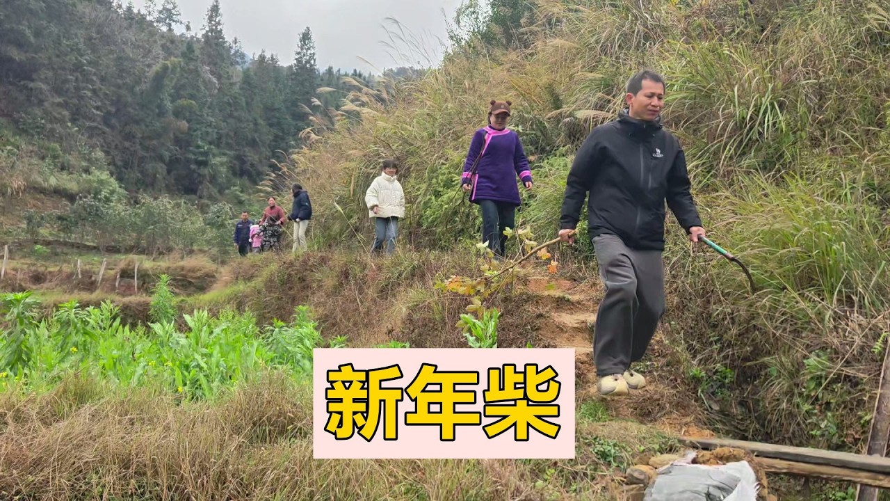 一家人上山砍新年柴，祝朋友新年發大財，馬年吉祥【農人家三嫂】