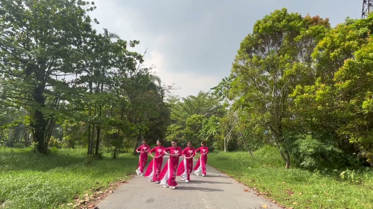 Xīn guī chù (心归处) Line Dance [Where the heart belongs]