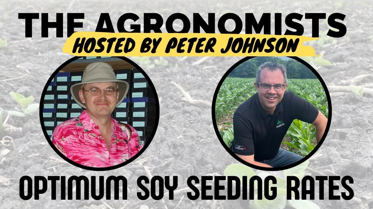 The Agronomists, Ep 226: Optimum soy seeding rates with Dennis Lange and Paul Hermans
