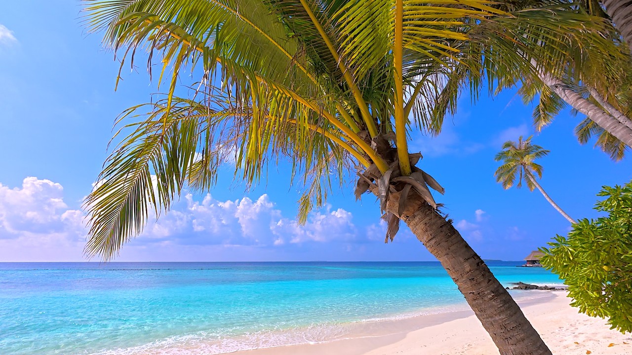 🏝 Fall Asleep With Relaxing Wave Sounds. Ocean Waves 4K UHD. Maldives Beach