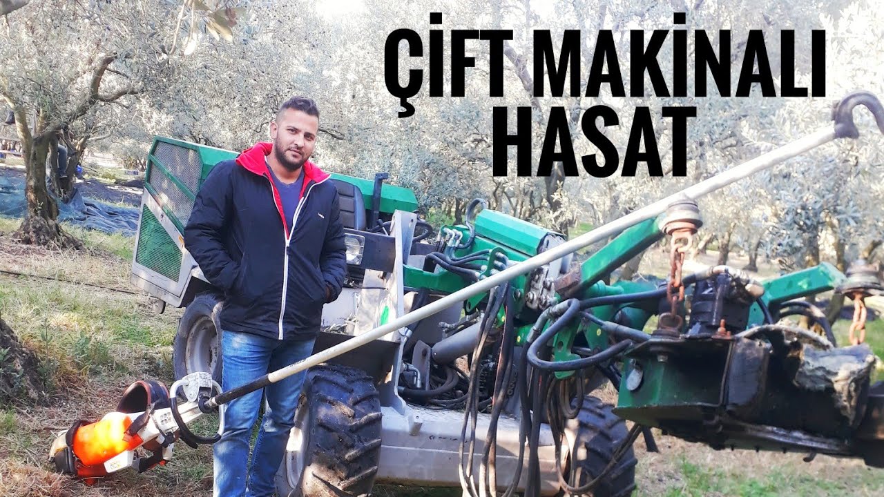 ZEYTİN TOPLAMA MAKİNESİ İLE HASAT NASIL YAPILIR ?