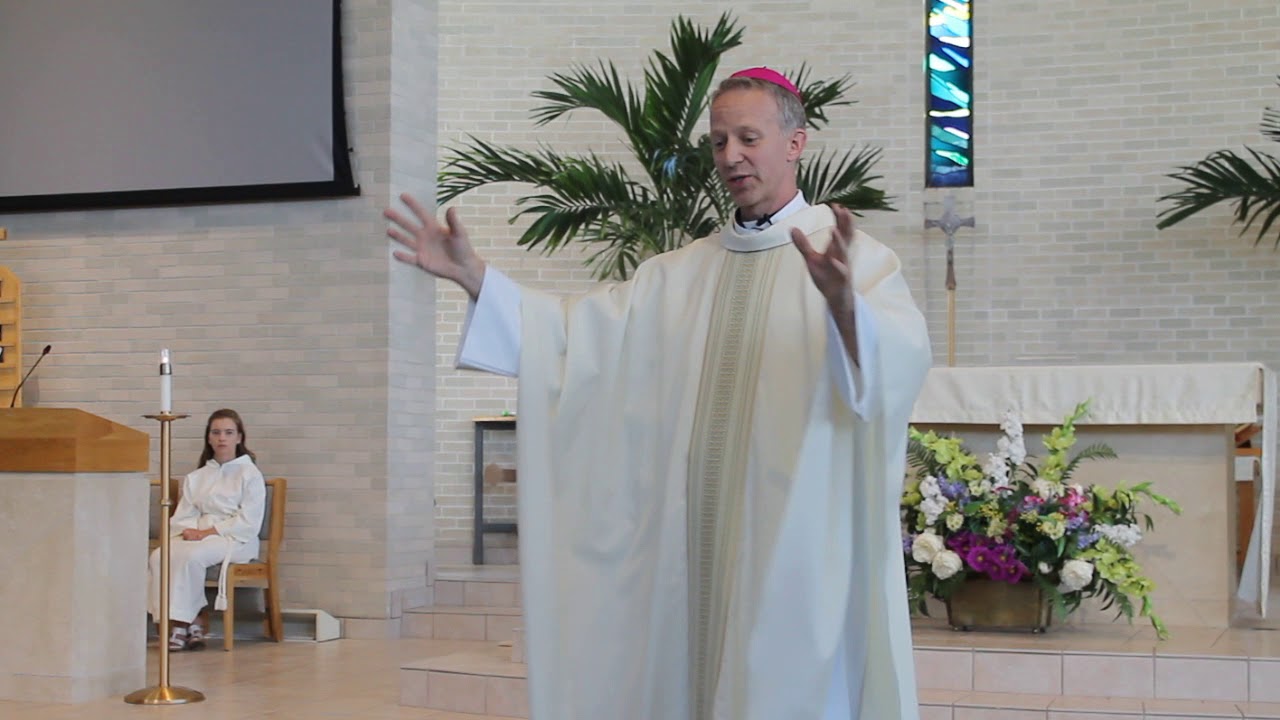Bishop-elect William Wack homily on Mary and the Assumption