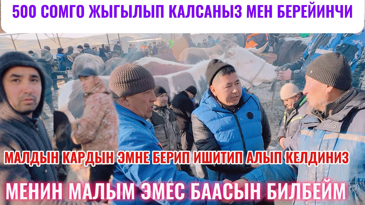 12.03.26ж ОШ ОБЛ АРАВАН МАЛ БАЗАР БАА ТУШТУ