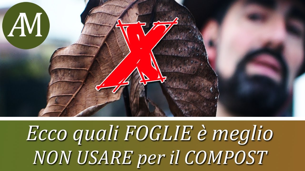 Quali foglie non usare per fare il compost - Permacultura