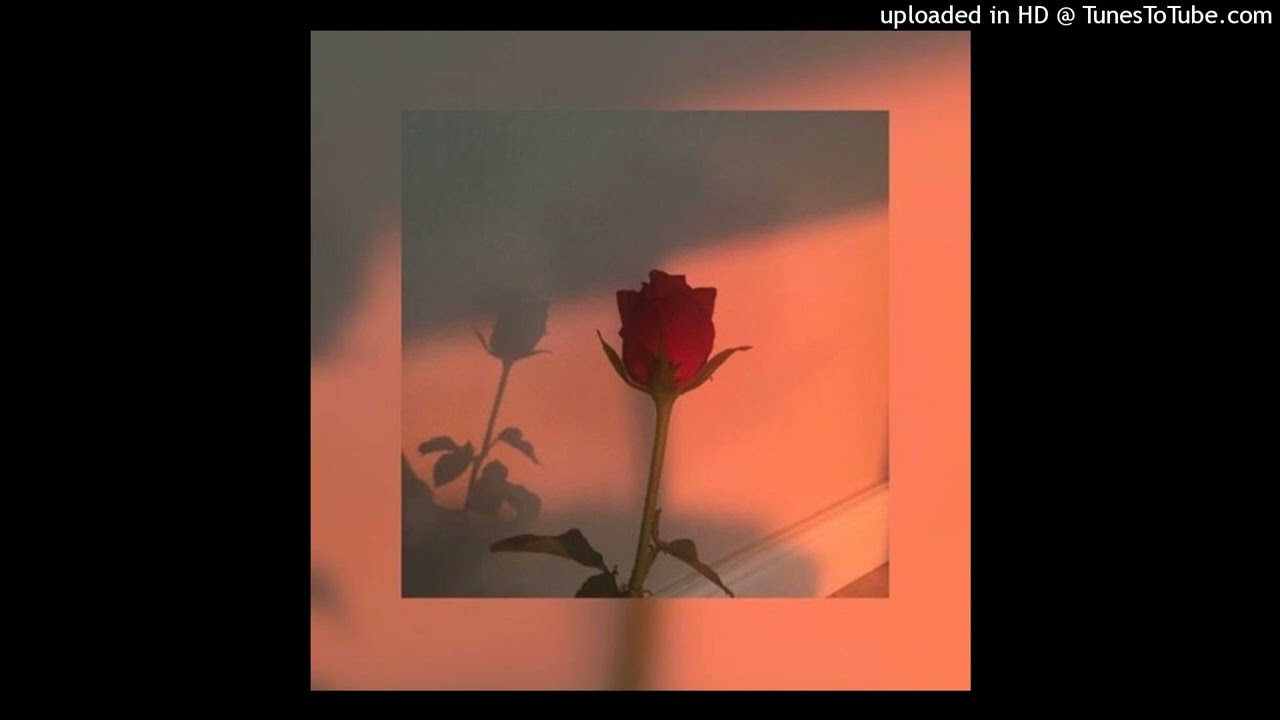 Pan!c Pop - Love De La Nuit (Remake)