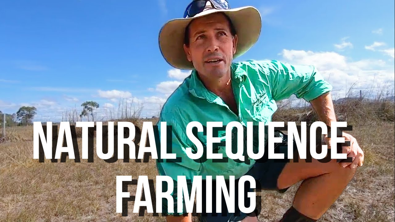 Over the Fence with Stuart Andrews from Forage Farms - Natural Sequence Farming