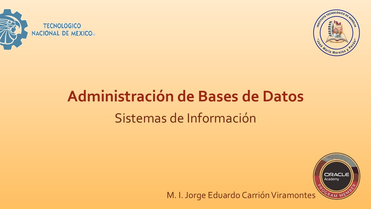 Los Sistemas de Información