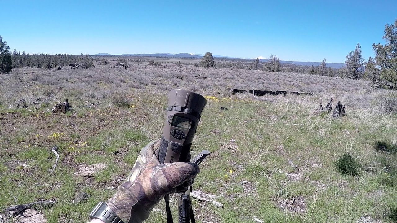 Mantis 50 Game Call: Product Review | The Hunting Page