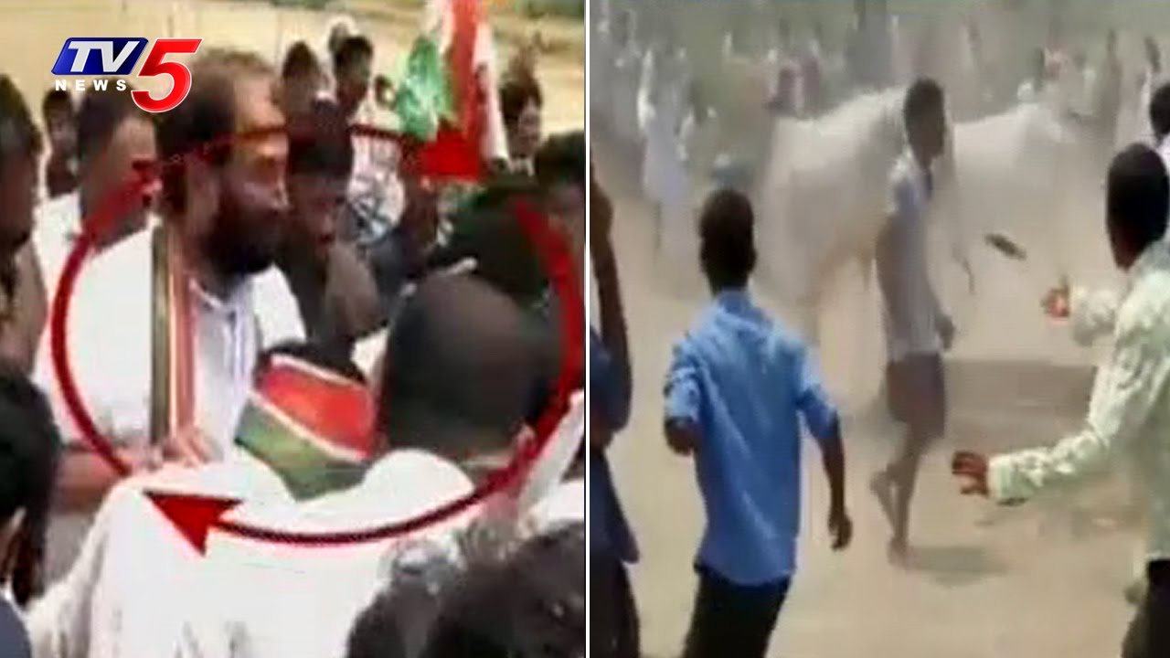 TPCC Chief Uttam Kumar Reddy Injured in Bull Attack | Nalgonda | TV5 News