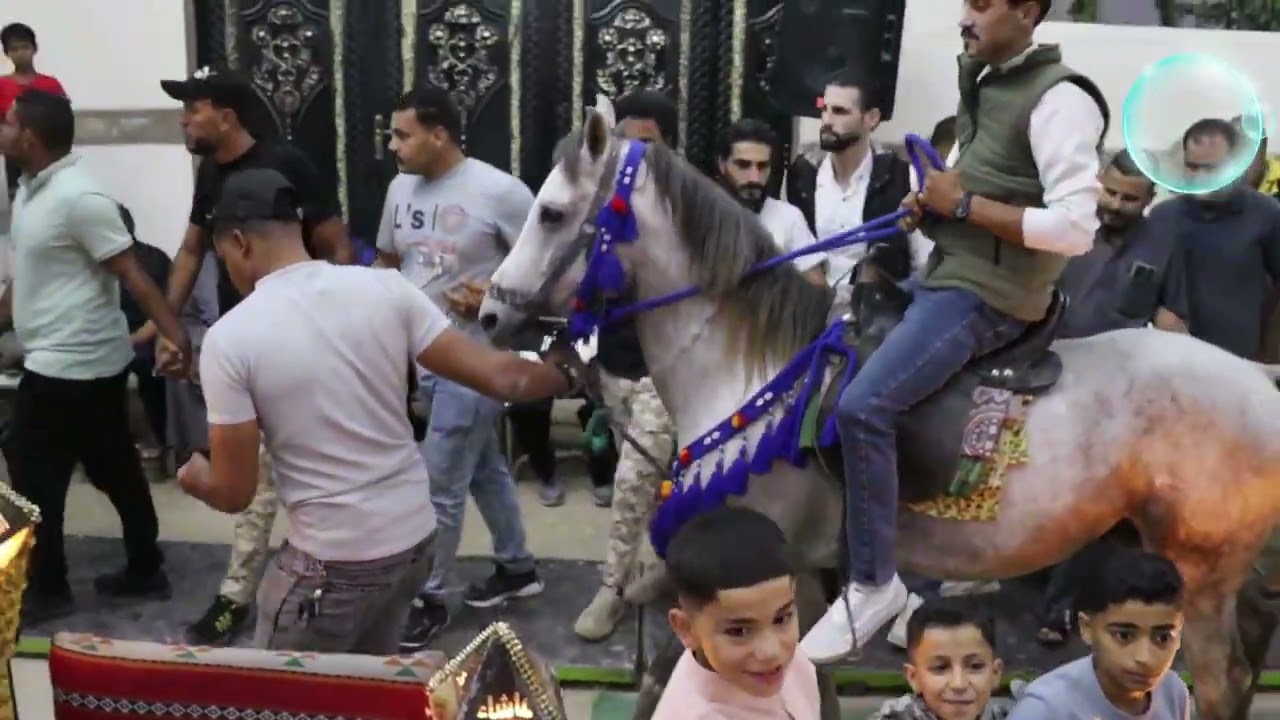 الفنان ايمن الدرش الفنان اسامه البشتاوي مجوز سلوم ابوعبطه سهرة مؤيد ابوالحسن تسجيلات ابوعبطه