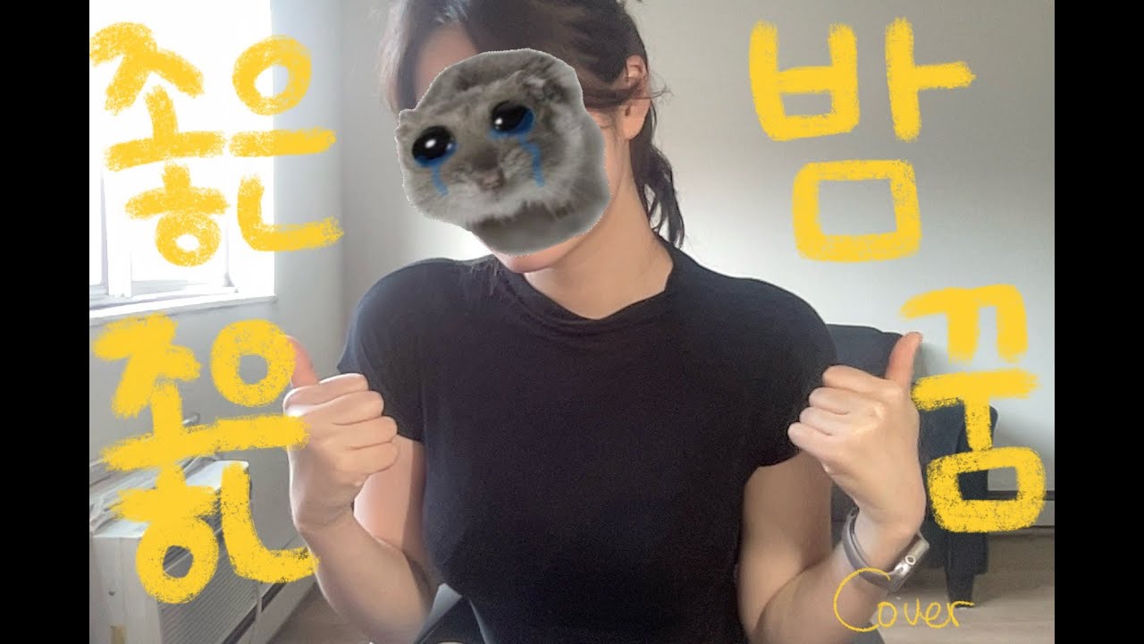 이왕 잘 거면 내 꿈 꿔주라 (너드커넥션- 좋은 밤 좋은 꿈 커버)