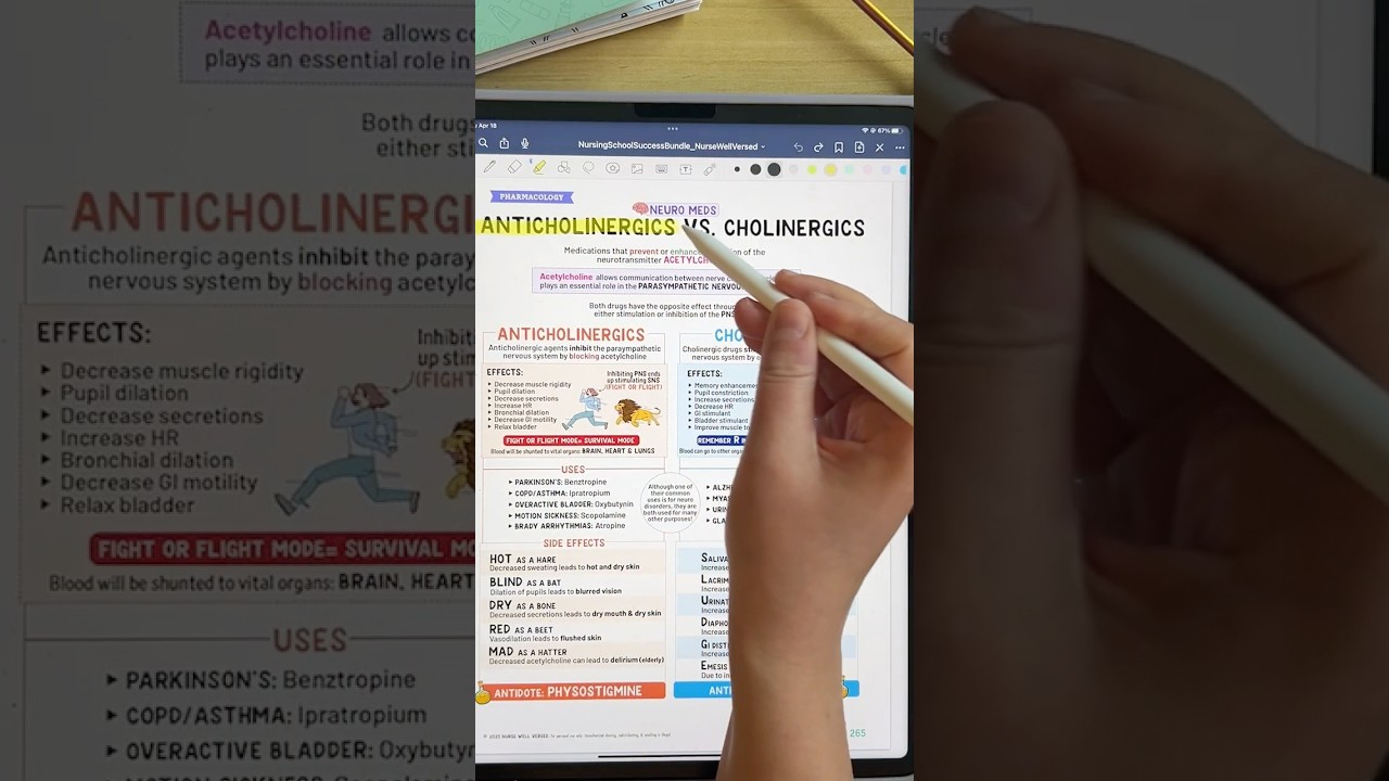 Антихолинергические и холинергические препараты
