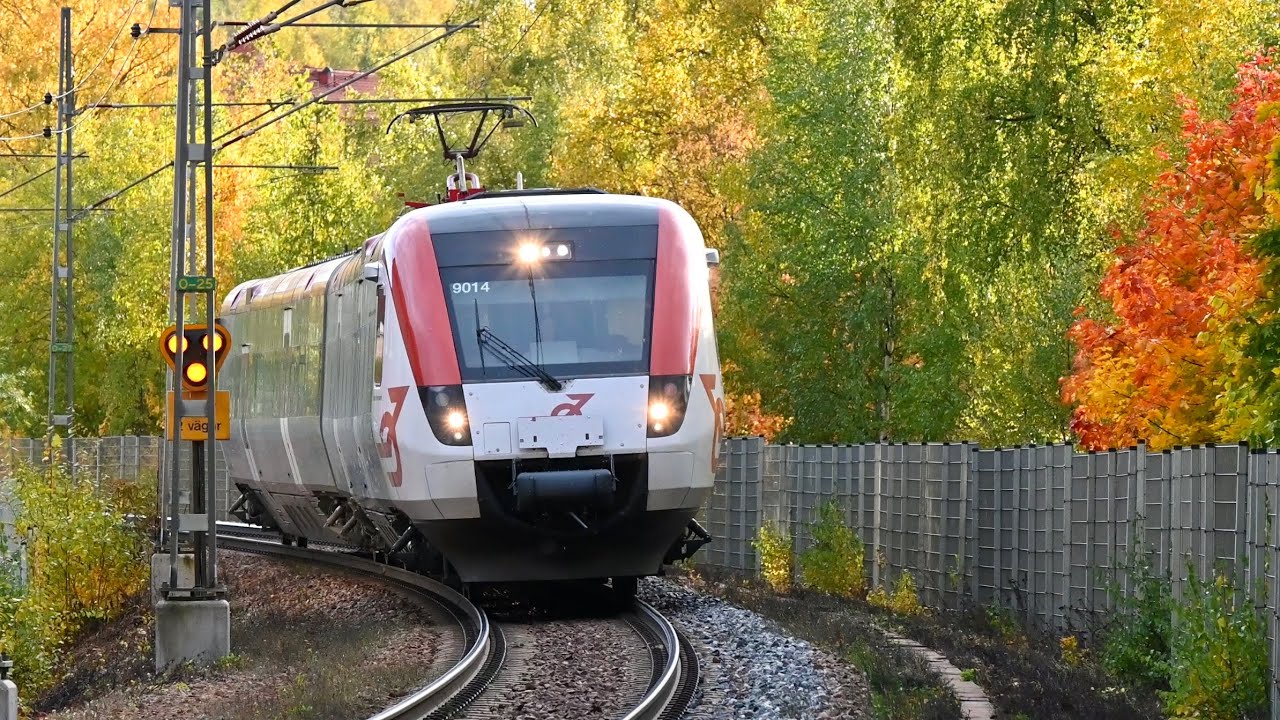 Tåg i Gävle och Falun - Oktober 2024