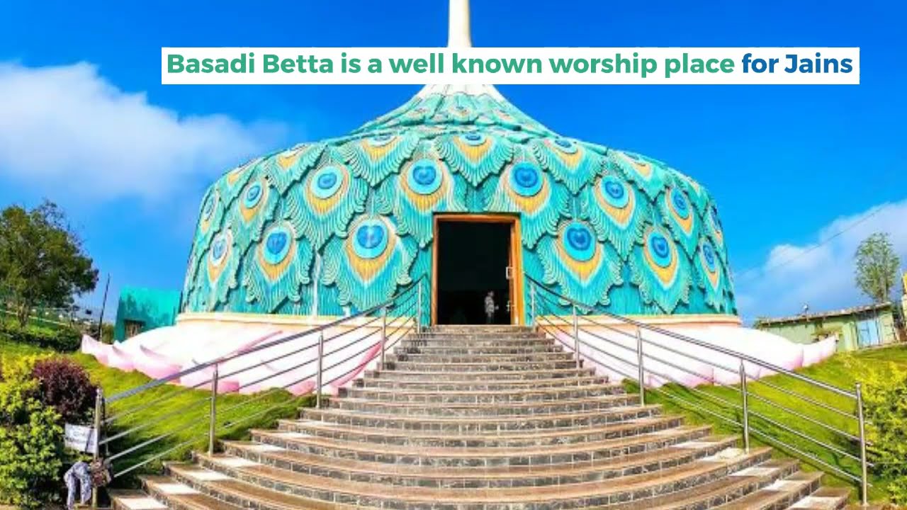 Basadi betta