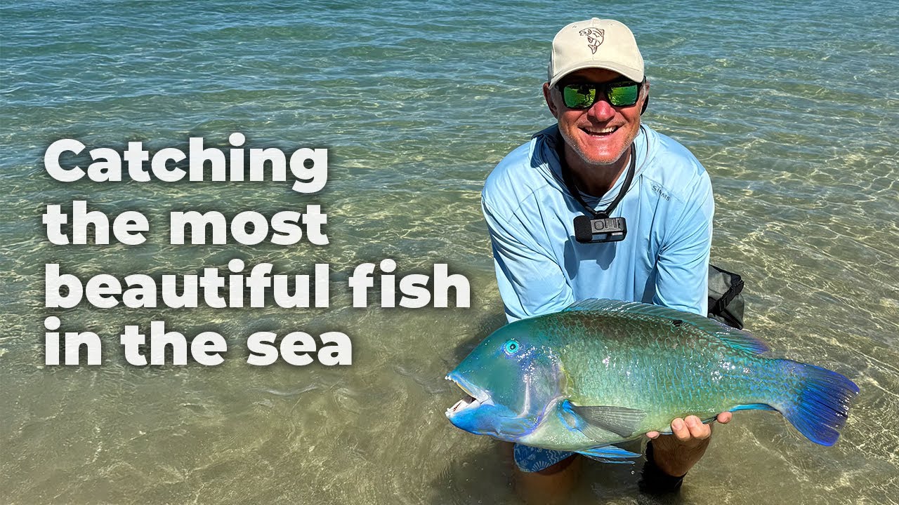 Catching the most beautiful fish in the sea - Greatest Fishing Adventures - Episode 1