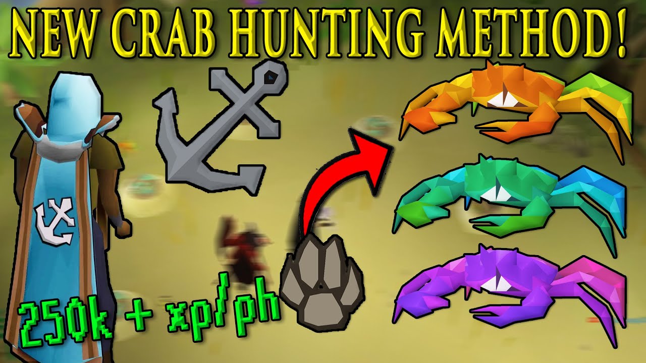 This NEW Hunter Method is INSANE for Minimal Effort in OSRS!