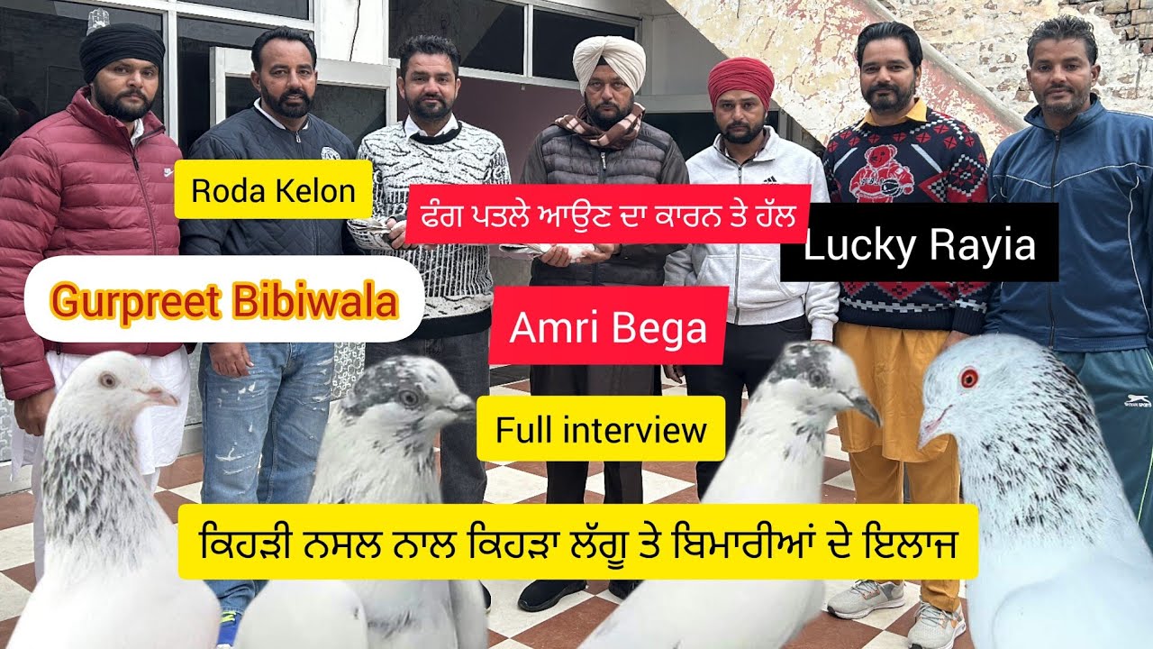 Ik Shonk Kabootarbaazi Da Full Inreviw Gurpreet Bibiwala ਫੰਗ ਪਤਲੇ ਆਉਣ ਦਾ ਕਾਰਨ ਤੇ ਇਲਾਜ ਅੱਖਾਂ ਦਾ ਇਲਾਜ