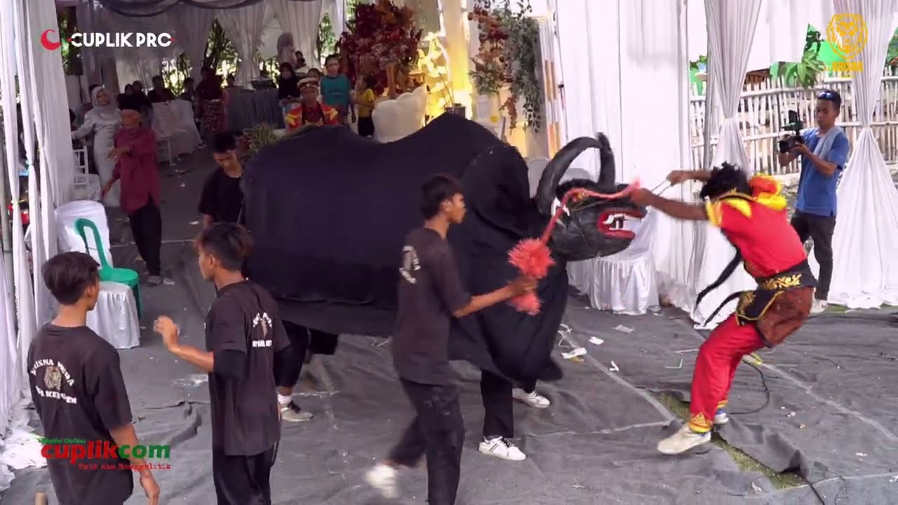 ATRAKSI KEBO NGAMUK  | MANUK DANGDUT KRISNA MUDA | TEGALGIRANG 02 NOV 2024