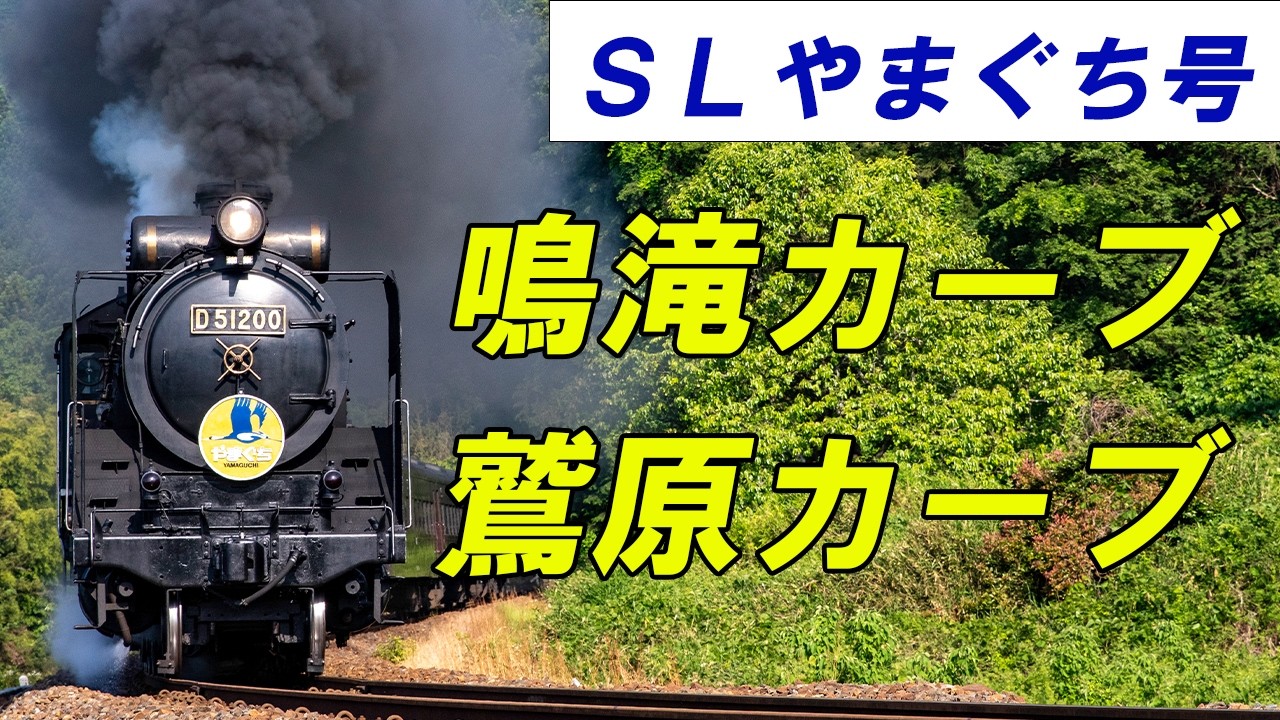 鳴滝カーブと鷲原カーブ 2024年8月 #slやまぐち号 #train #steamlocomotive #sl #蒸気機関車 #鉄道 #d51
